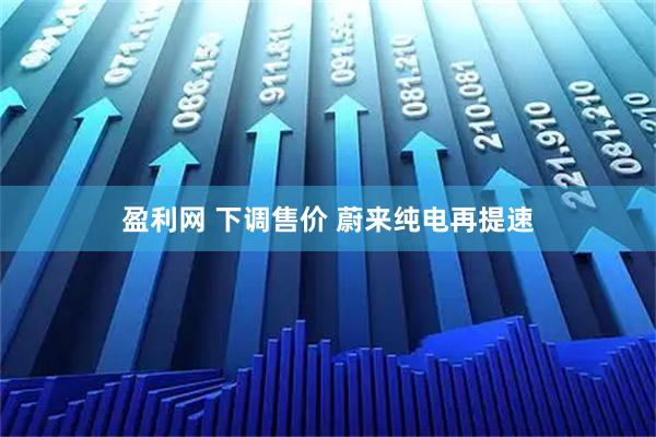 盈利网 下调售价&#32;蔚来纯电再提速