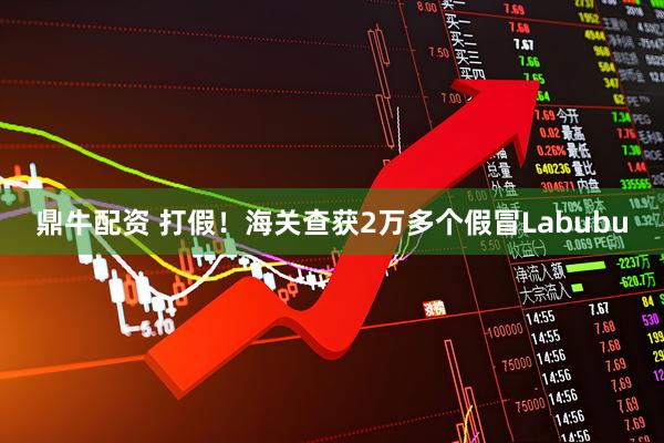 鼎牛配资 打假！海关查获2万多个假冒Labubu