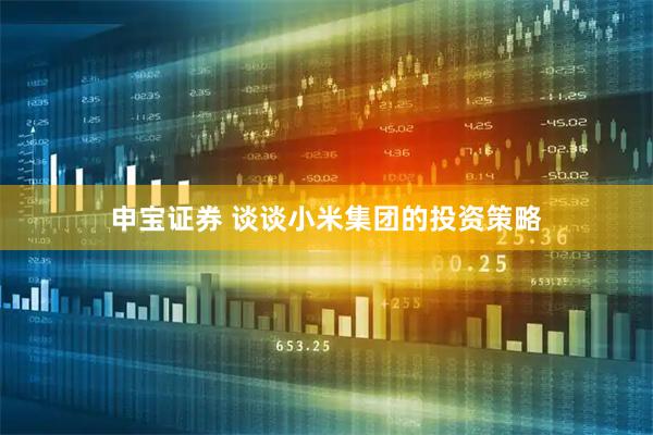 申宝证券 谈谈小米集团的投资策略