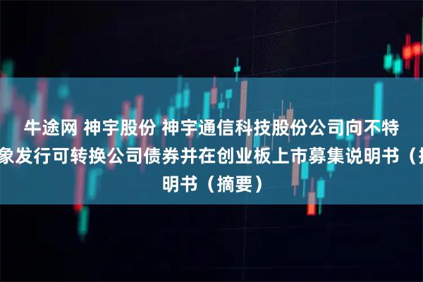 牛途网 神宇股份 神宇通信科技股份公司向不特定对象发行可转换公司债券并在创业板上市募集说明书（摘要）