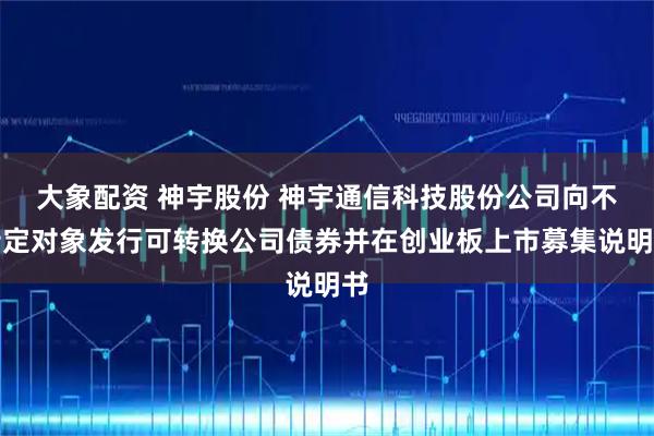 大象配资 神宇股份 神宇通信科技股份公司向不特定对象发行可转换公司债券并在创业板上市募集说明书
