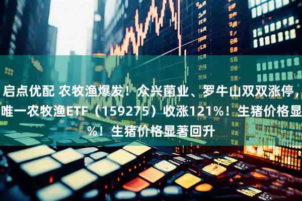 启点优配 农牧渔爆发！众兴菌业、罗牛山双双涨停，全市场唯一农牧渔ETF（159275）收涨121%！生猪价格显著回升