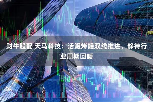 财牛股配 天马科技：活鳗烤鳗双线推进，静待行业周期回暖